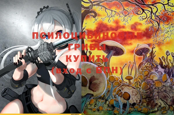 круглые Арсеньев